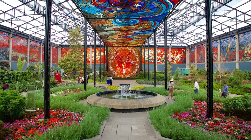 The Cosmovitral showing wildflowers, outdoor art and a fountain