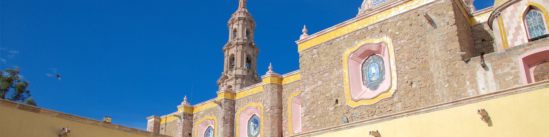Museo J. Guadalupe Posada mostrando un parque o plaza y patrimonio de arquitectura