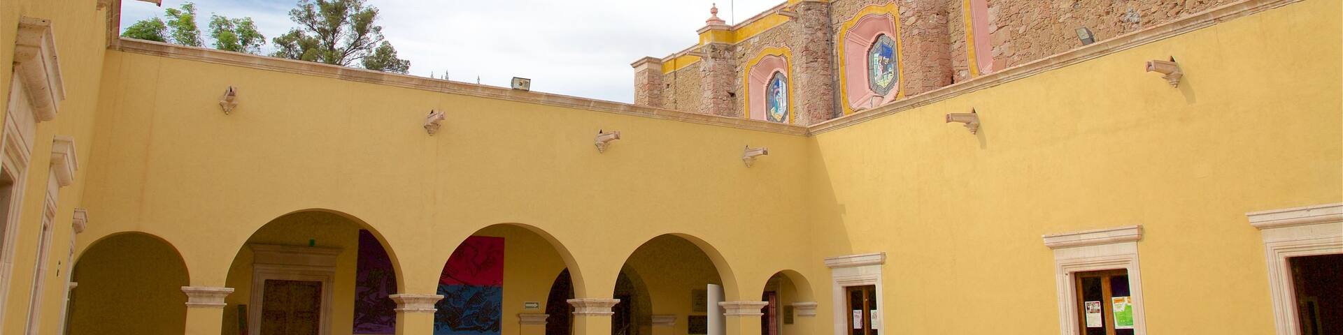 J. Guadalupe Posada Museum which includes heritage architecture and a square or plaza