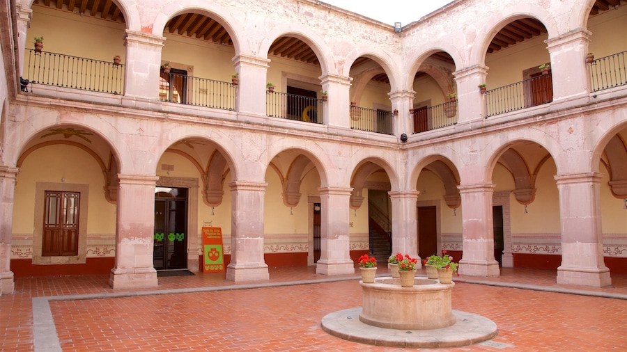 Museo Nacional de la Muert mostrando un parque o plaza