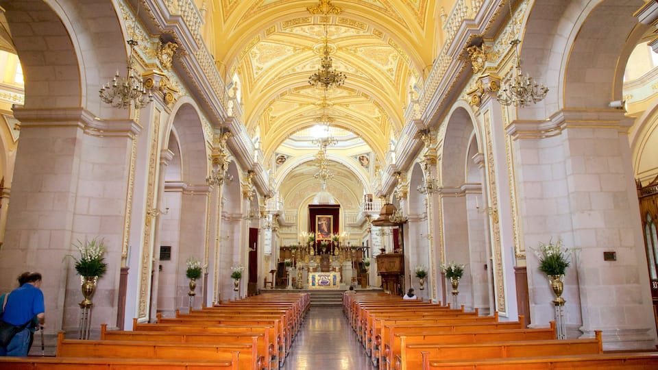 Basílica Catedral Nuestra Senora de la Asunción mostrando patrimonio de arquitectura, una iglesia o catedral y vistas interiores