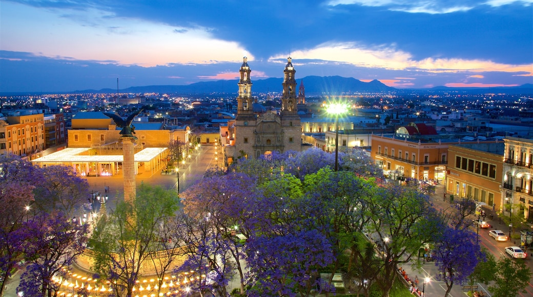 Basílica de la Asunción de Nuestra Señora mostrando parco, monumento e paesaggio notturno