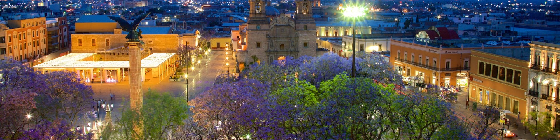 Basílica Catedral Nuestra Senora de la Asunción