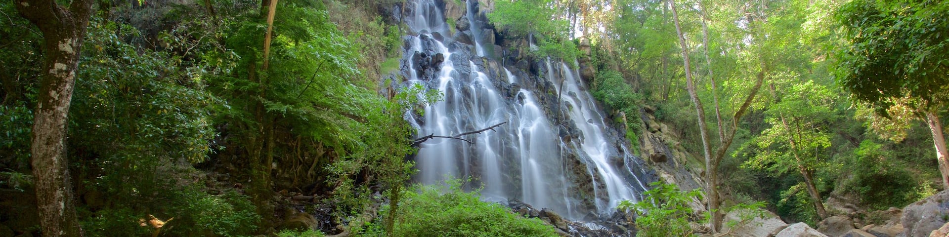 Velo de Novia Wasserfälle mit einem Fluss oder Bach und Waldmotive