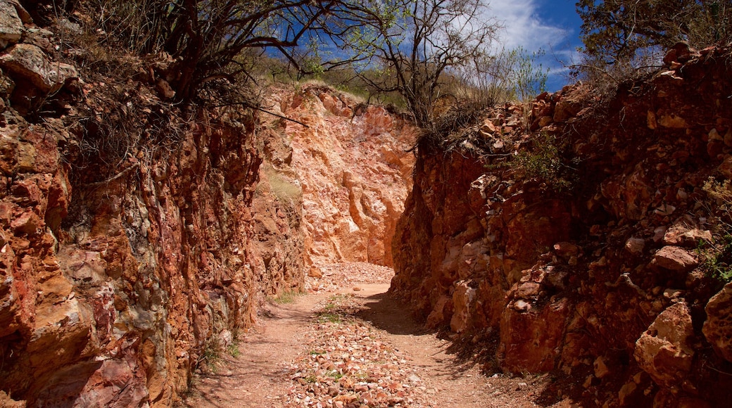 Miniera di opale di Tequisquiapan mostrando paesaggi rilassanti