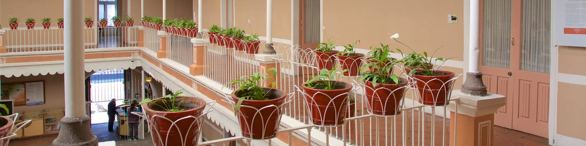 Toluca which includes interior views