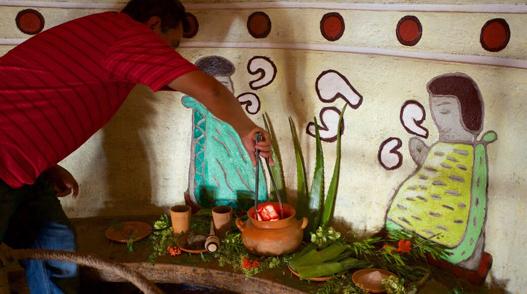 Temazcal Tonatiu Iquzayampa showing outdoor art as well as an individual male