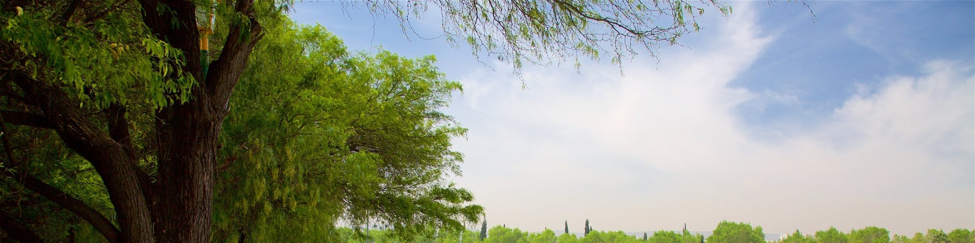 Mexiko welches beinhaltet Garten