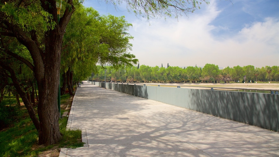 Messico caratteristiche di giardino