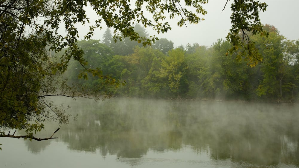 Pennsylvanie centrale montrant brume ou brouillard et zone humide