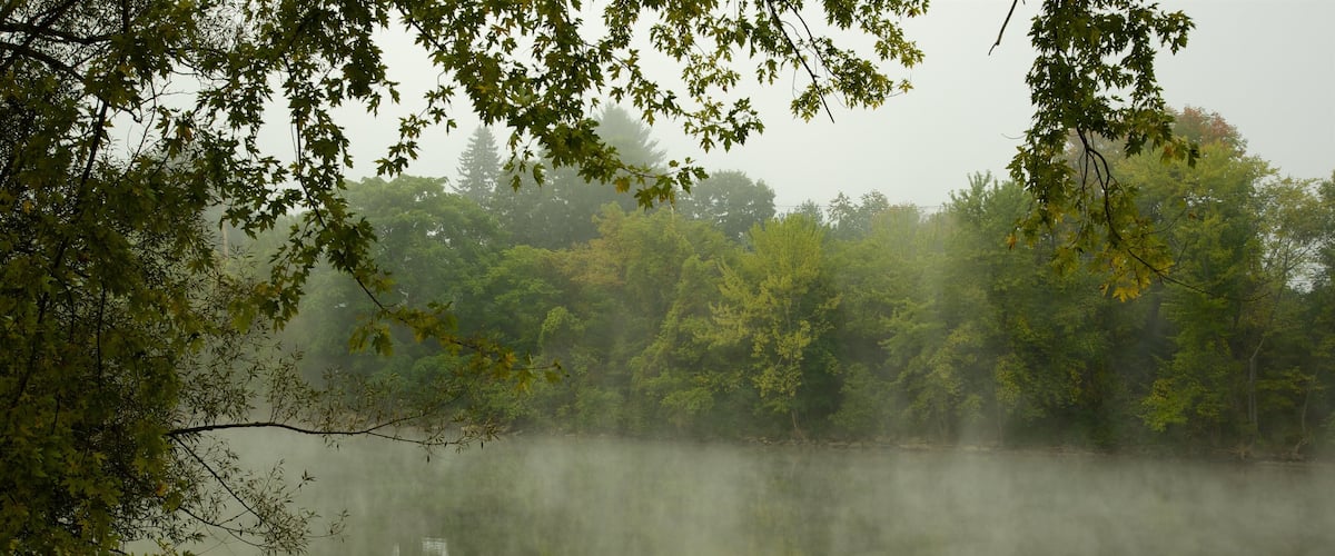 Pennsylvania central que incluye neblina o niebla y humedales
