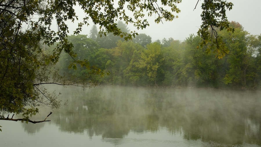 Pennsylvania central que incluye neblina o niebla y humedales
