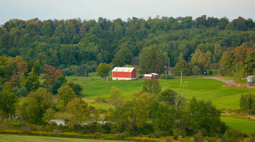 Sentrale Pennsylvania som inkluderer landskap og rolig landskap