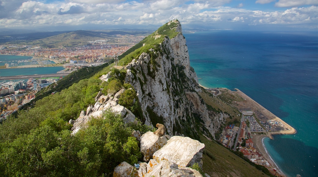 Rocher de Gibraltar mettant en vedette vues littorales, montagnes et panoramas