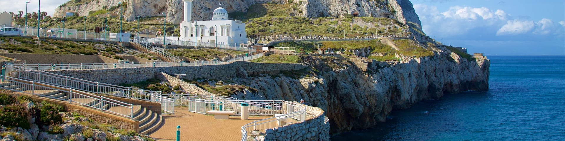 Ibrahim-Al-Ibrahim Mosque showing views, tranquil scenes and rugged coastline