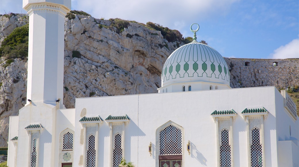 Mesquita Ibrahim-Al-Ibrahim mostrando elementos de patrimônio