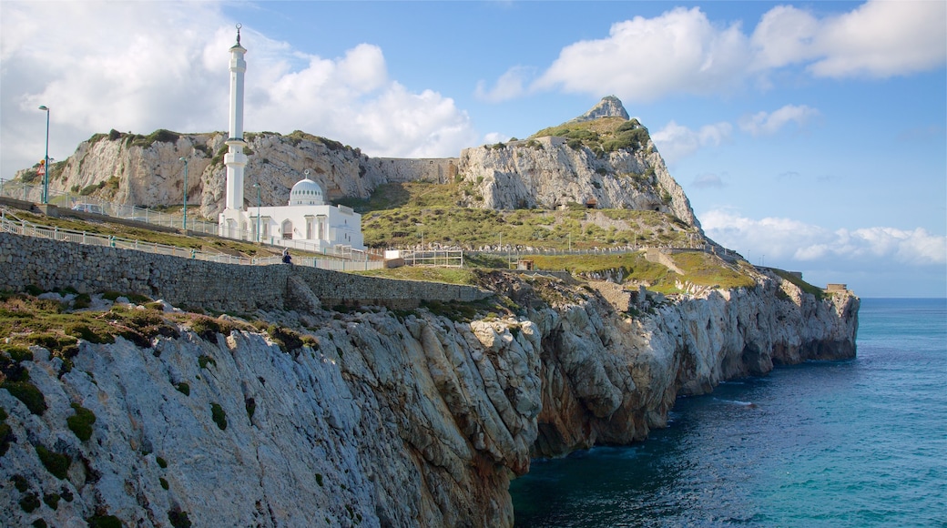 Ibrahim-Al-Ibrahim Mosque featuring heritage architecture, tranquil scenes and rugged coastline