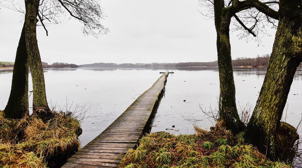 Photo fournie par expedia