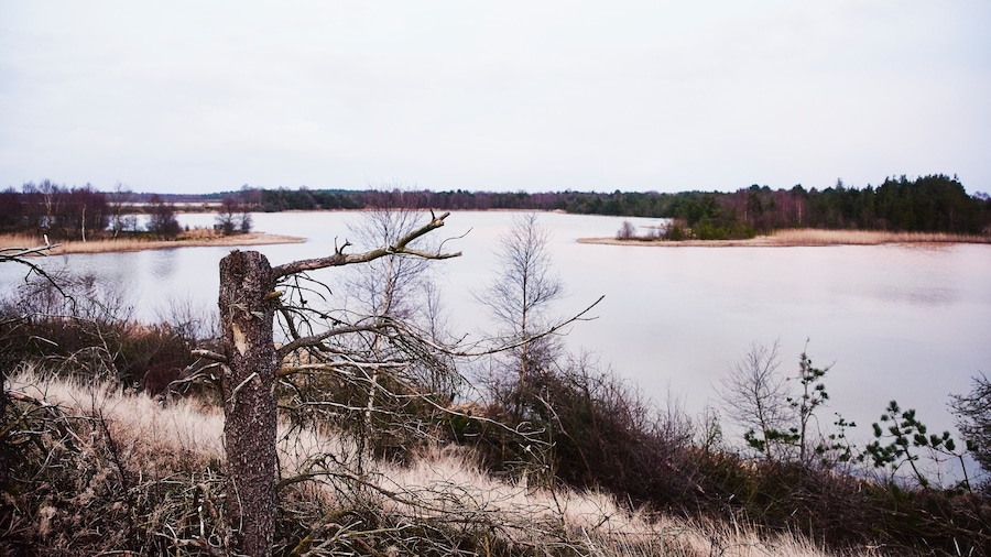 Herning which includes a lake or waterhole and wetlands