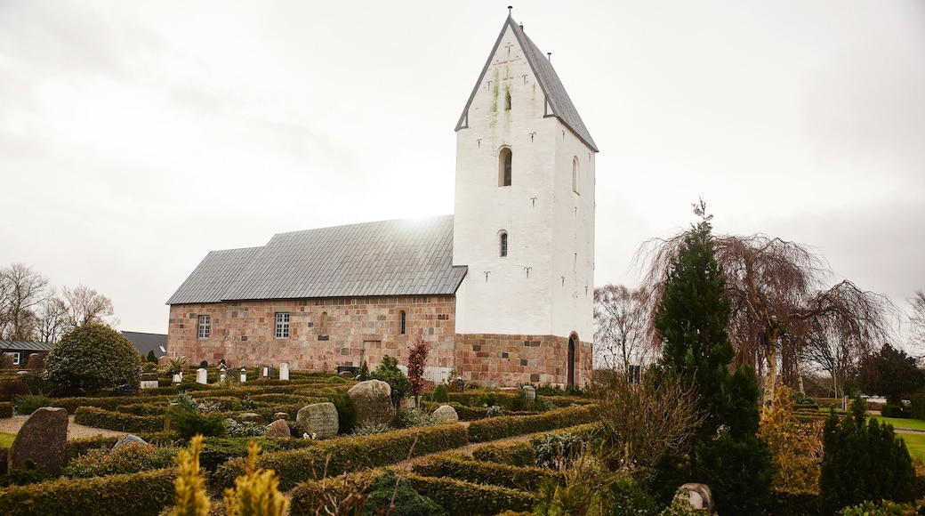 Slagelse som viser en kirke eller en katedral og en park