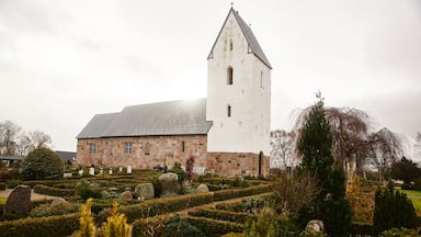 Slagelse ofreciendo una iglesia o catedral y un jardín