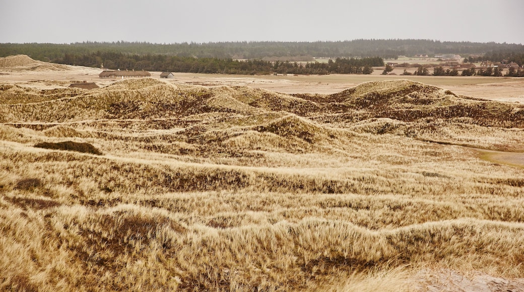 Slagelse som inkluderar stillsam natur