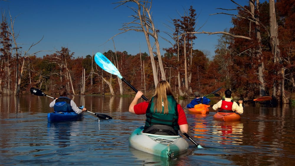 Pinnacle Mountain State Park mettant en vedette rivière ou ruisseau, kayak ou canoë et forêts