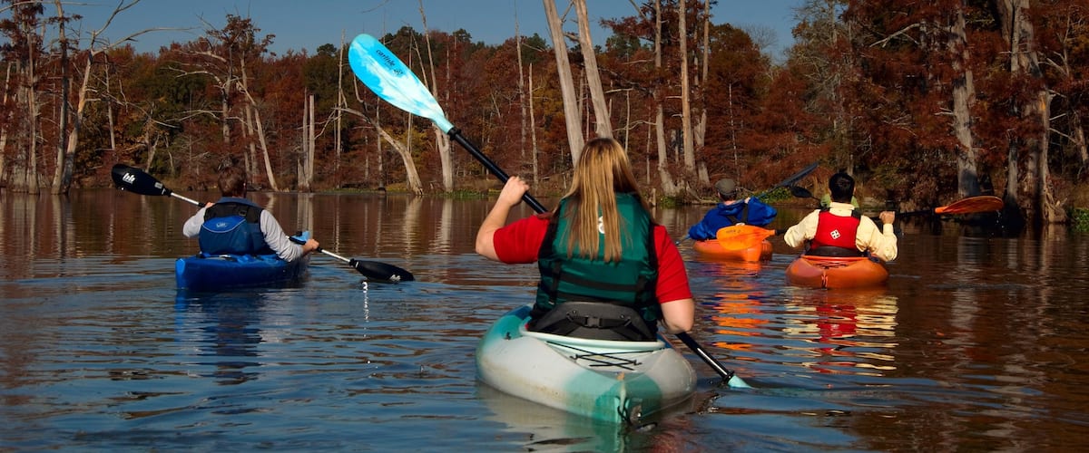 Pinnacle Mountain State Park mostrando un río o arroyo, bosques y kayak o canoa