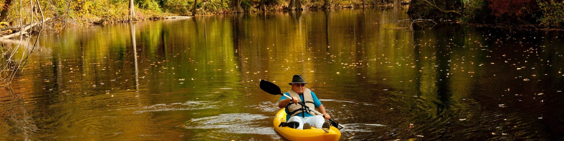 Pinnacle Mountain State Park featuring a river or creek, forests and fall colors