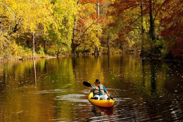 Pinnacle Mountain State Park showing forest scenes, a river or creek and autumn leaves