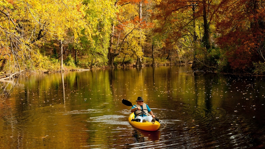 Pinnacle Mountain State Park featuring a river or creek, forests and fall colors