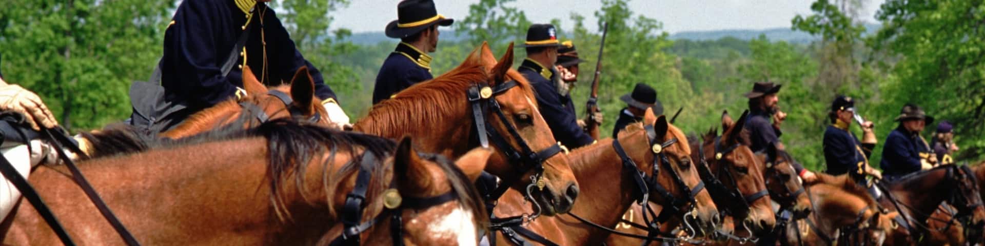 Camden mettant en vedette parc et équitation