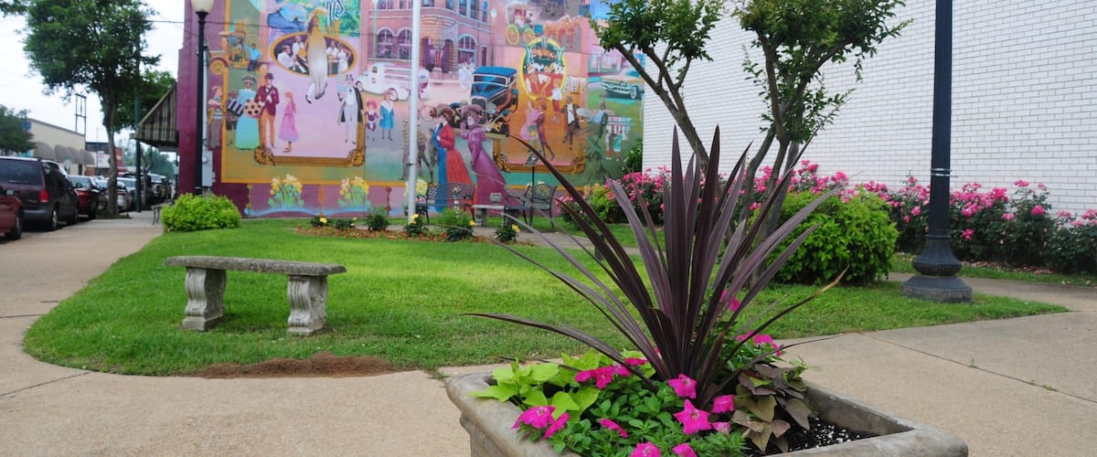 Camden featuring a garden and outdoor art