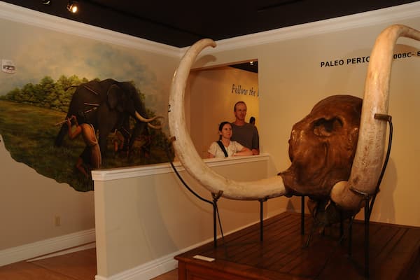 Museum of Native American History which includes interior views as well as a couple