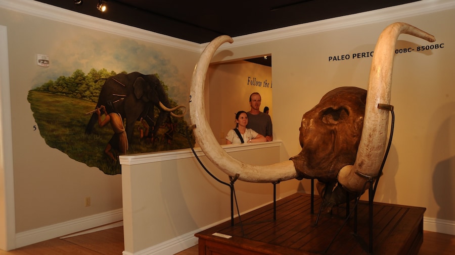 Museum of Native American History which includes interior views as well as a couple