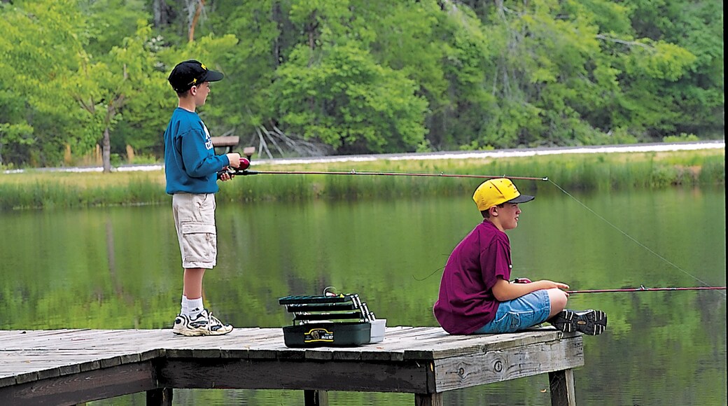 Foto proporcionada por Photo Courtesy Arkansas Department of Parks and Tourism