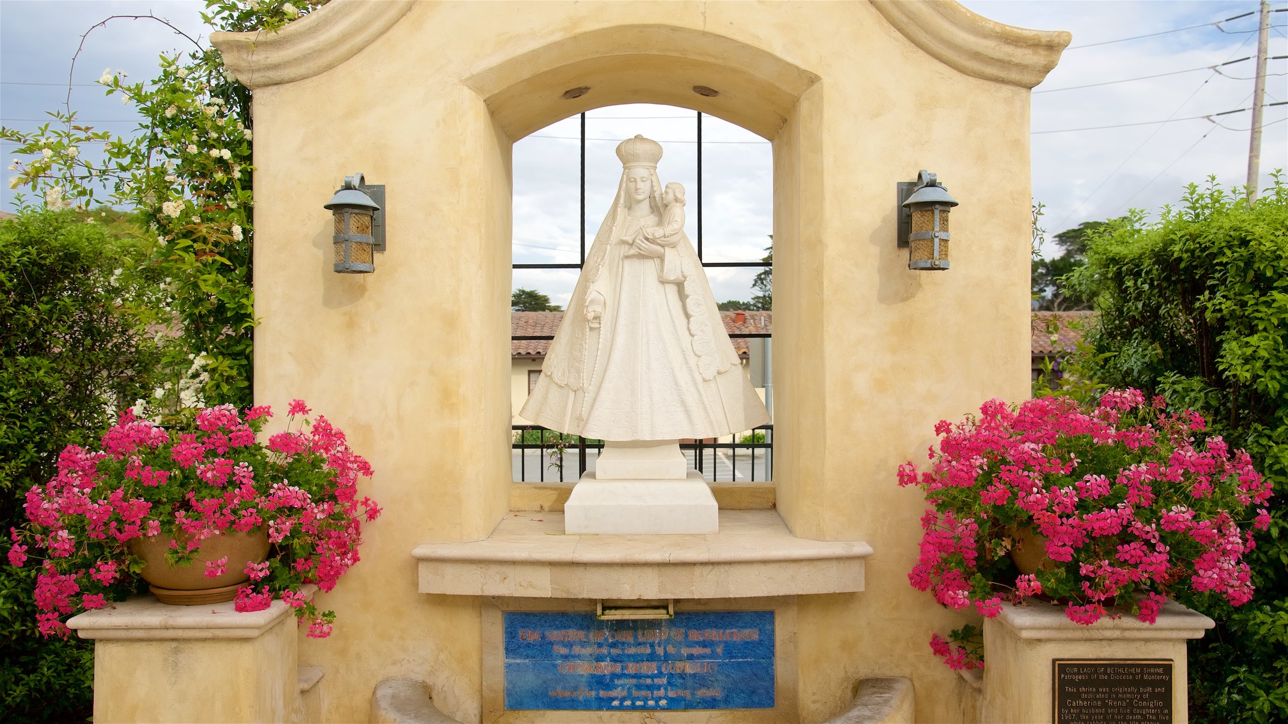 Cathedral of San Carlos Borromeo which includes heritage elements, flowers and a monument