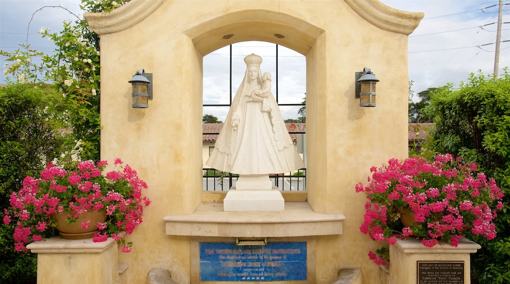 Cattedrale di San Carlo Borromeo che include monumento, elementi religiosi e oggetti d\'epoca