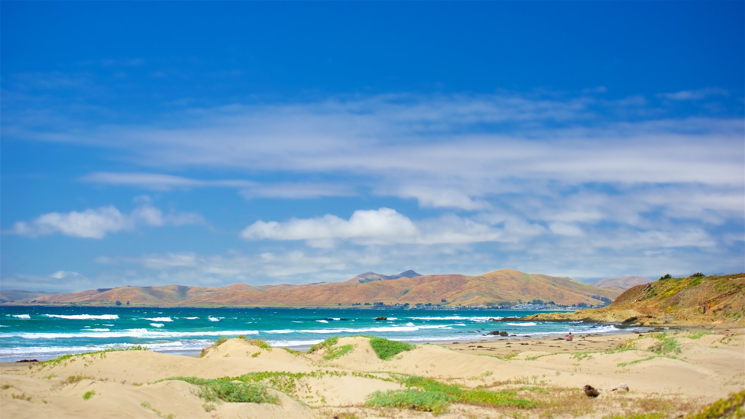 The Best Morro Bay Hotels On The Beach From 44 Free Cancellation On the-best-morro-bay-hotels-on-the-beach-from-44-free-cancellation-on
