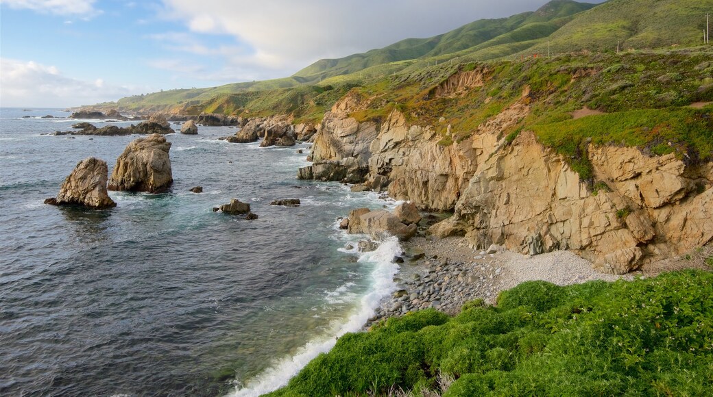 Garrapata Beach showing rugged coastline and general coastal views