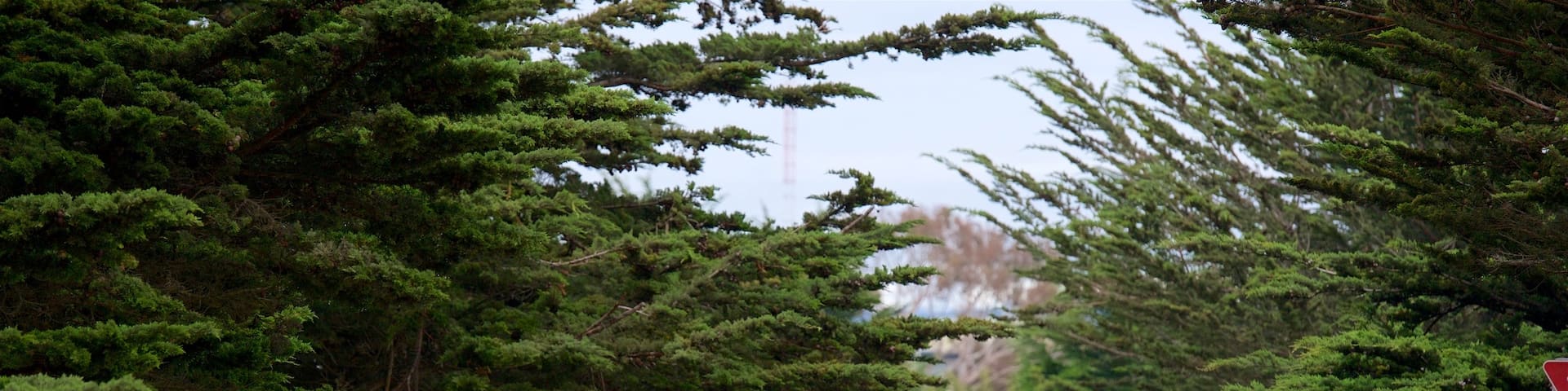 Pacific Grove som inkluderar vandring sÄvÀl som ett par
