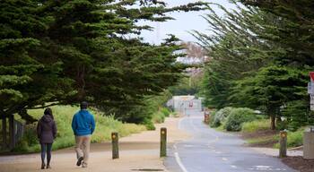 Pacific Grove ofreciendo senderismo o caminata y también una pareja