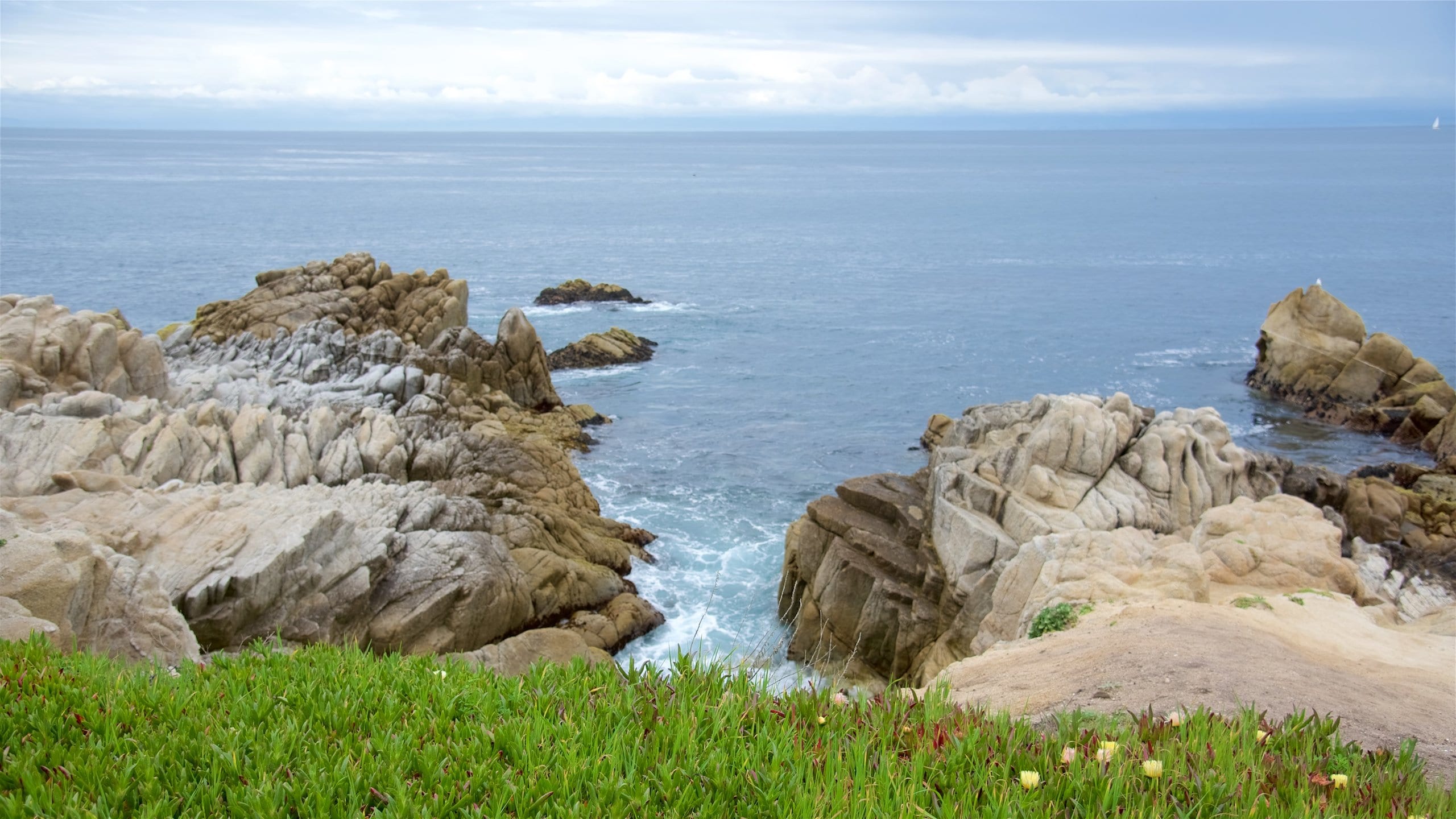 Pacific Grove which includes rocky coastline