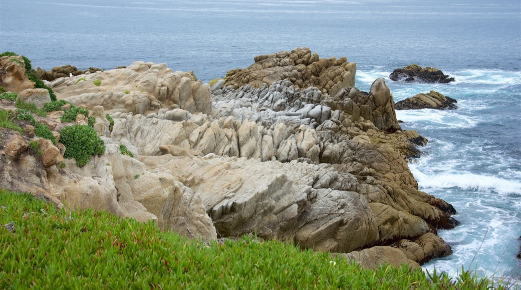 Pacific Grove showing rocky coastline