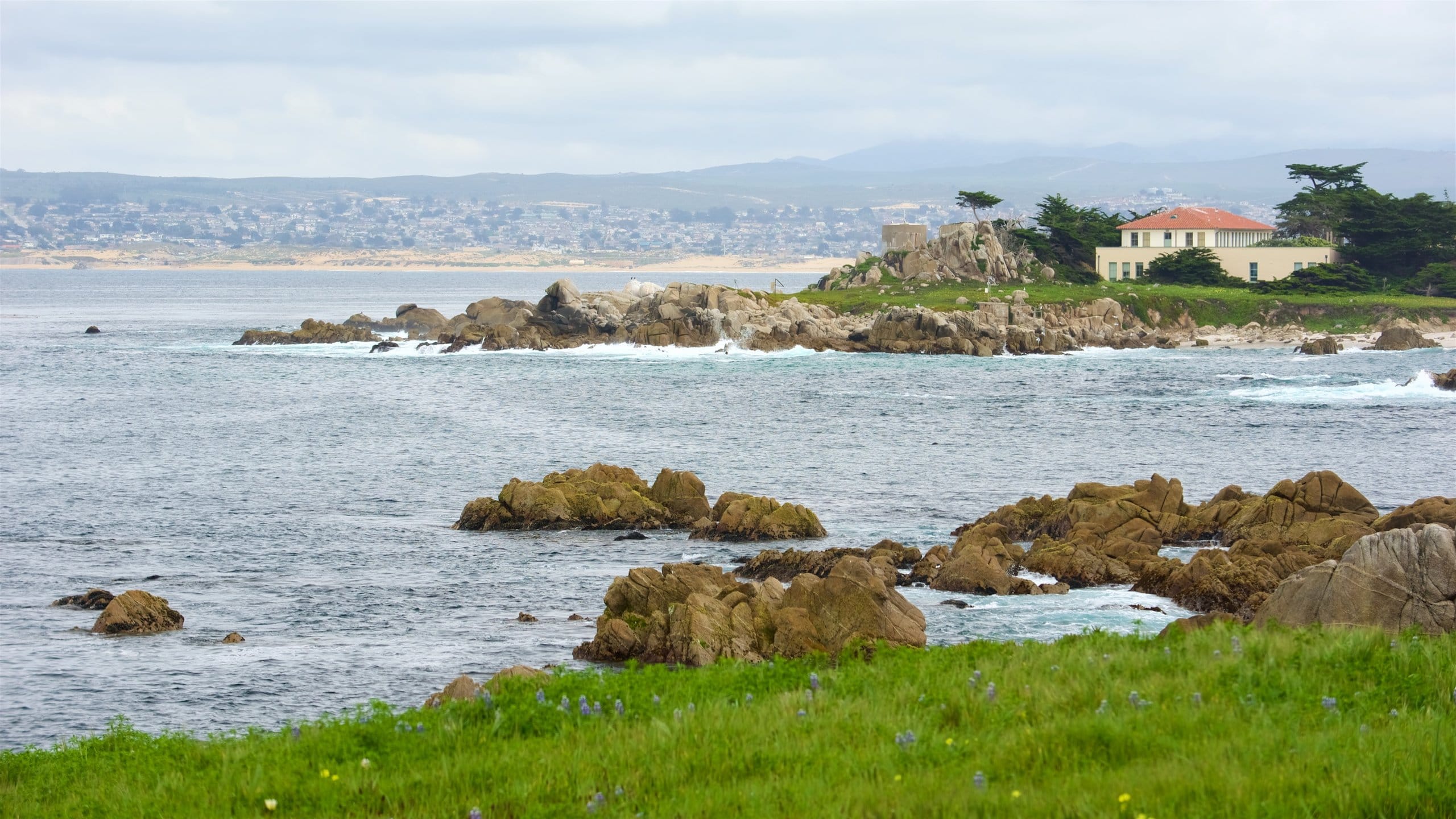 Pacific Grove showing rugged coastline