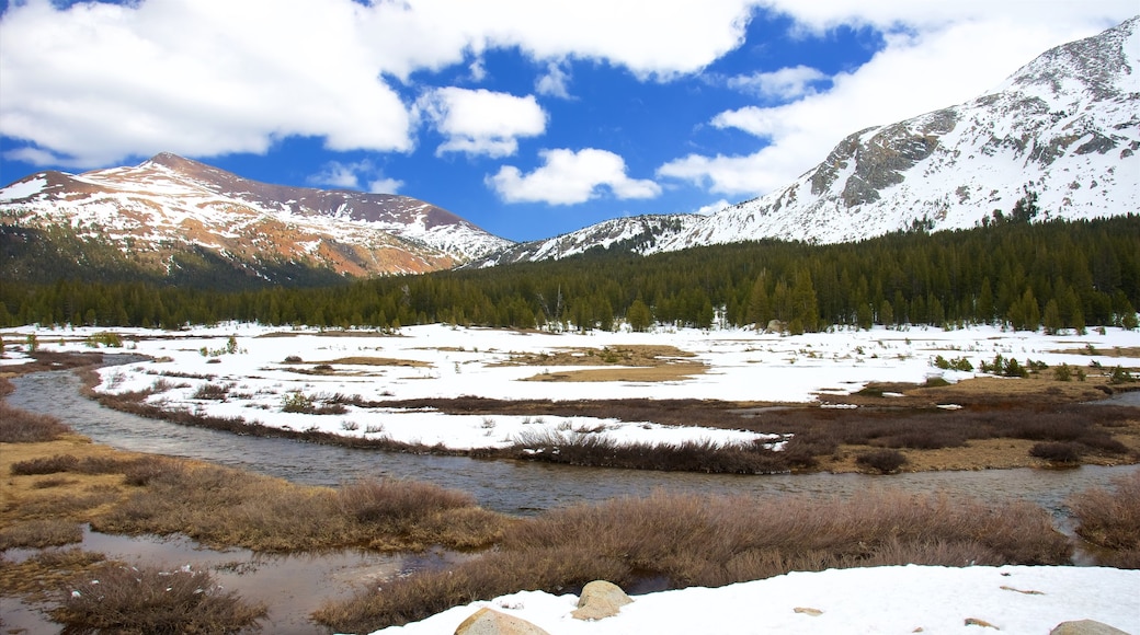 Tuolumne Meadows showing tranquil scenes and snow