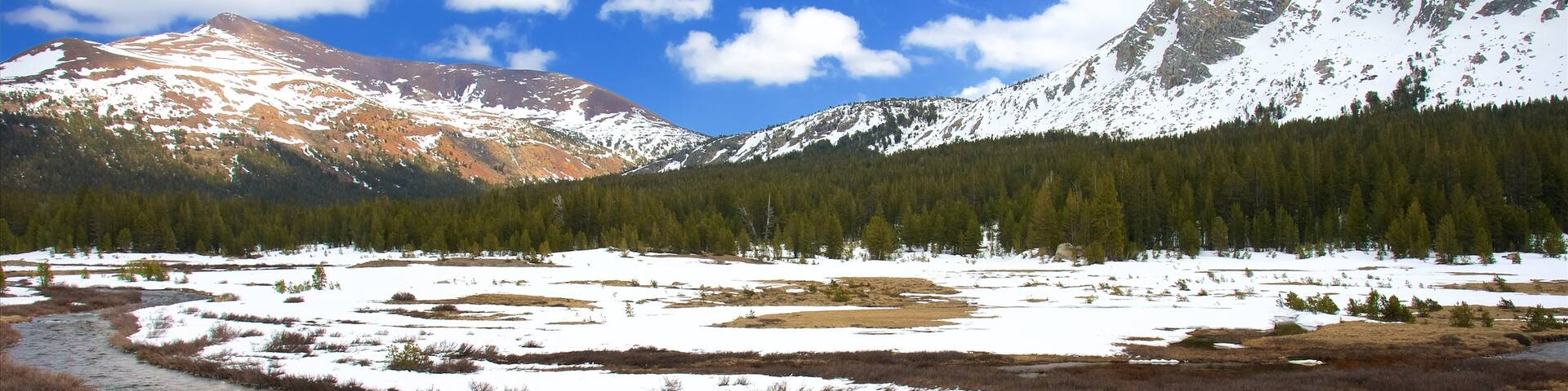 Tuolumne Meadows showing snow and tranquil scenes