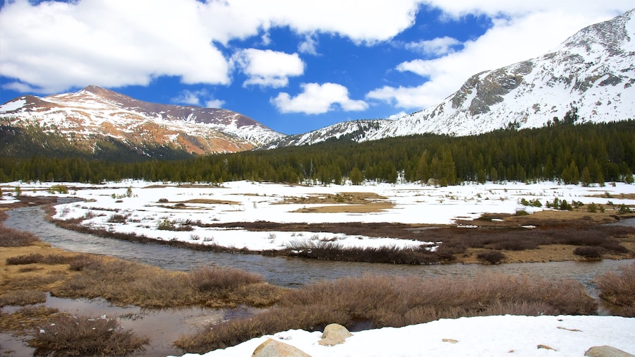 Tuolumne Meadows