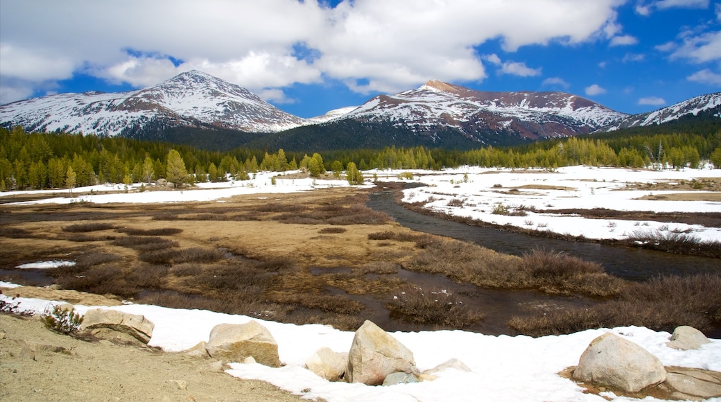 Tuolumne Meadows welches beinhaltet Schnee und ruhige Szenerie