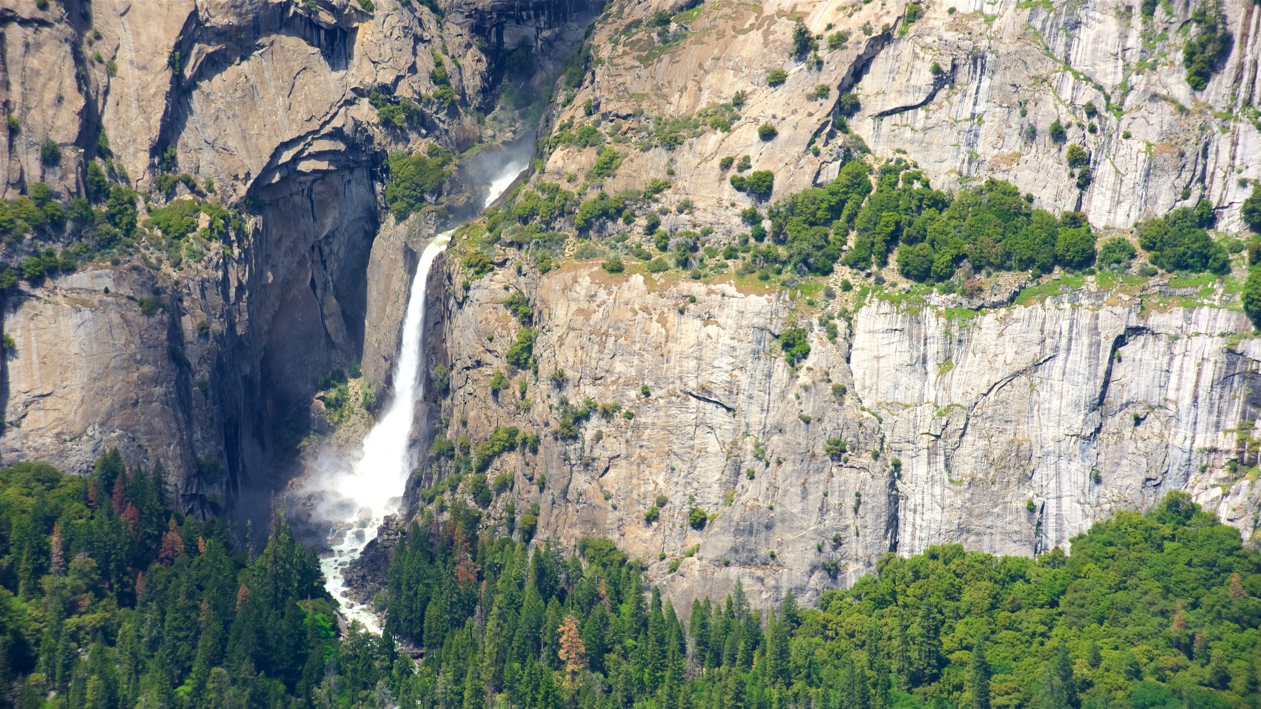 Surf y Guía Completa del Big Sur en California., image size:2560x1440